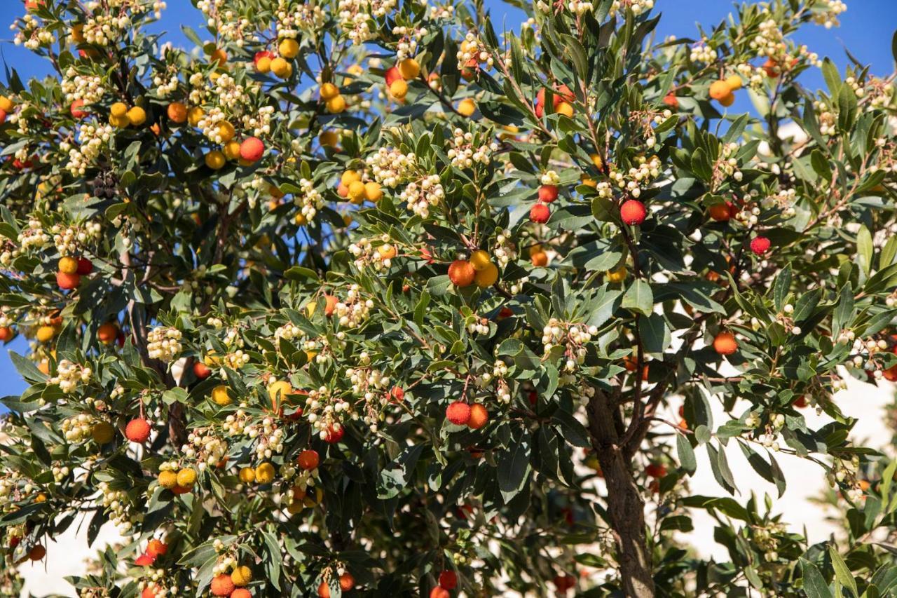 Masseria Lilei Lizzanello Экстерьер фото