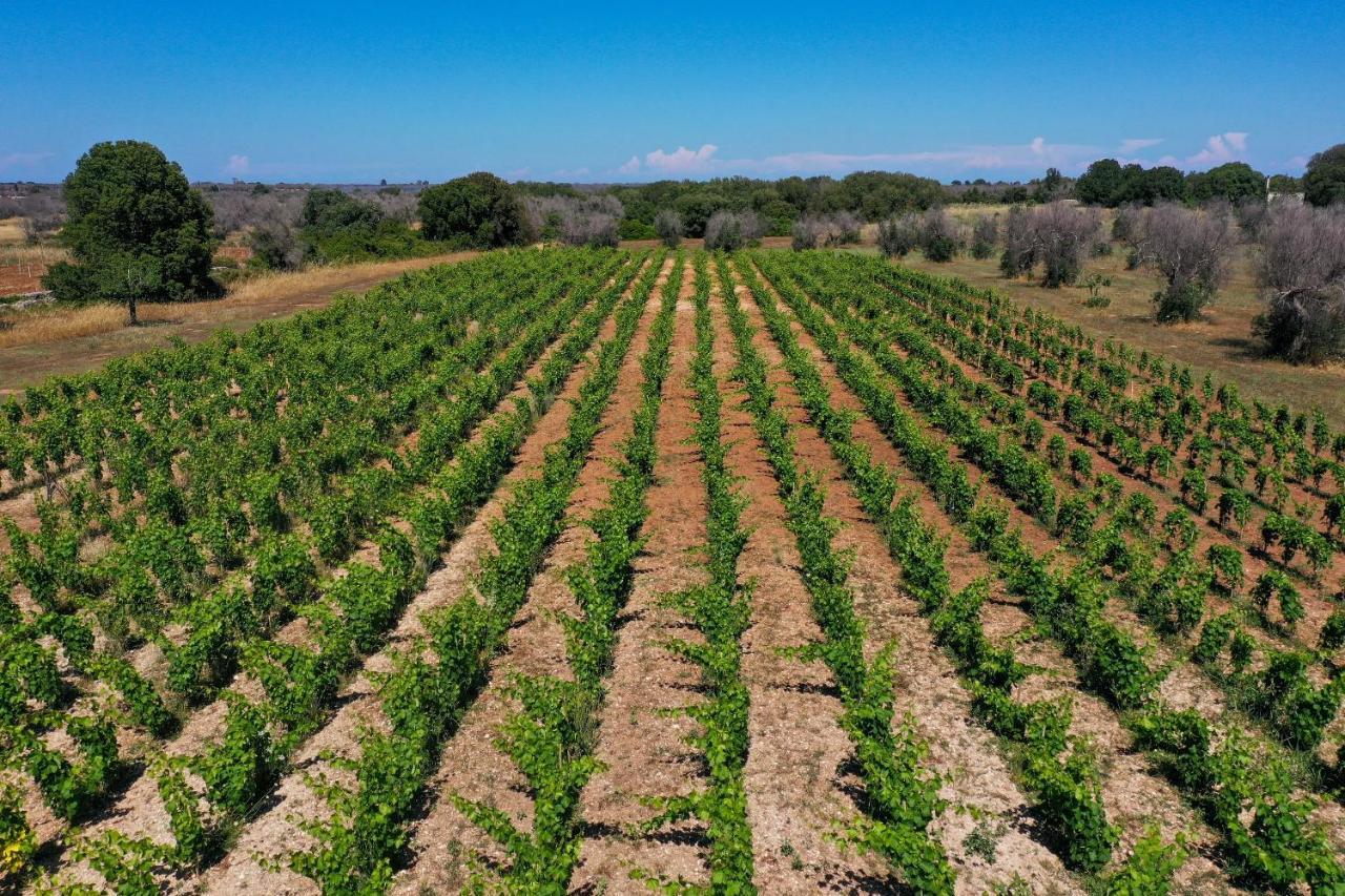 Masseria Lilei Lizzanello Экстерьер фото