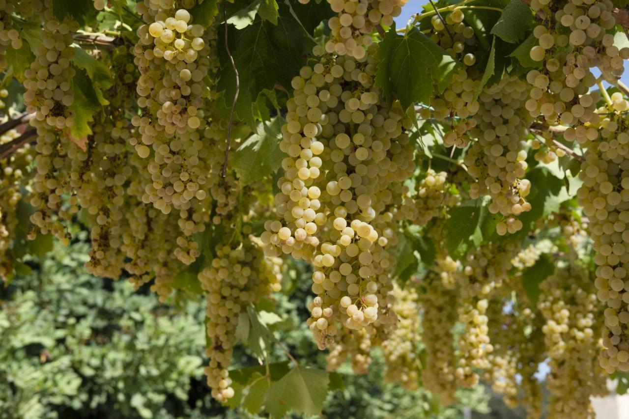 Masseria Lilei Lizzanello Экстерьер фото