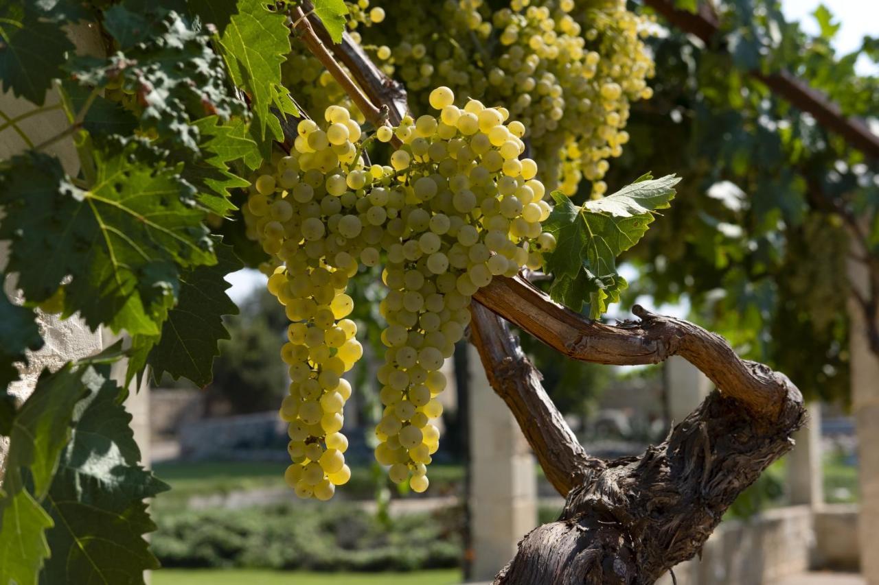 Masseria Lilei Lizzanello Экстерьер фото